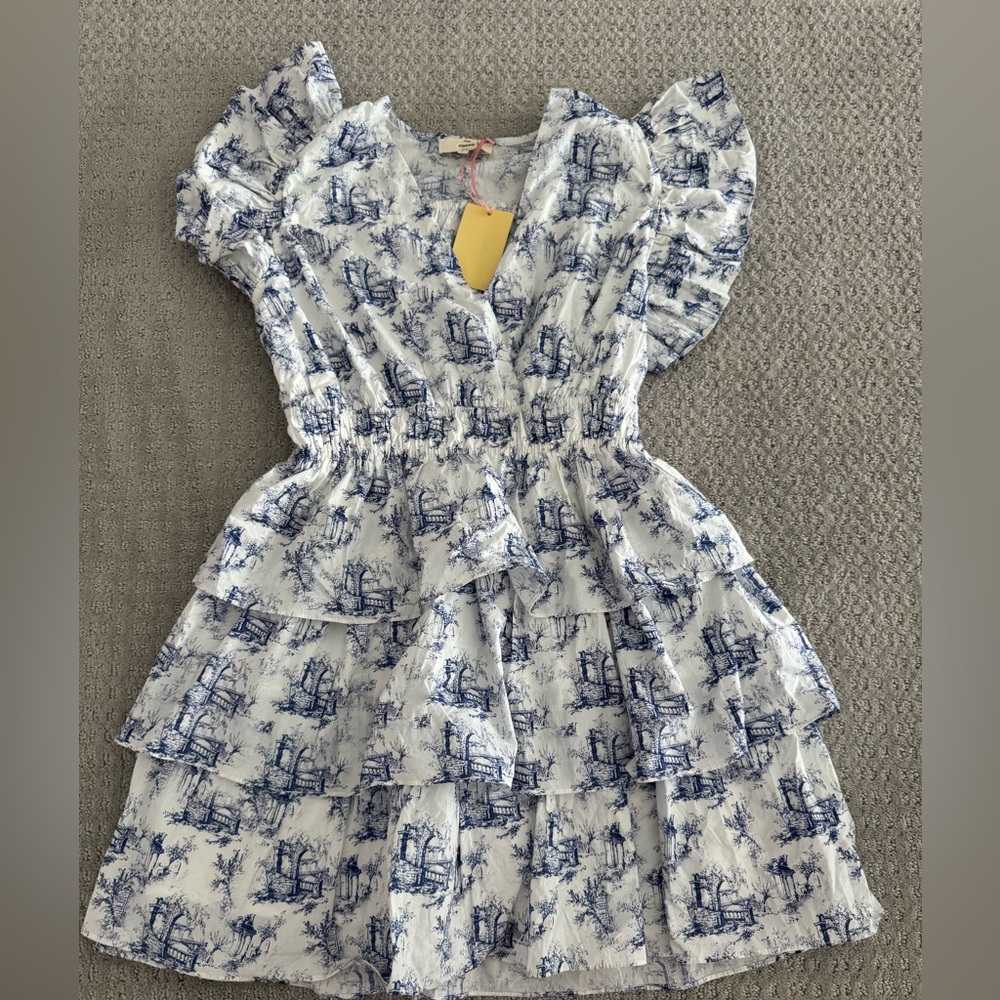 Castles Crumbling Blue Toile Ruffle Women’s Dress